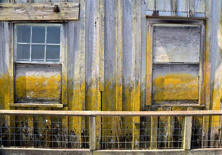 delapidated cannery